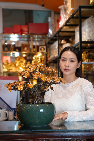 Cây mai vàng 24k bonsai