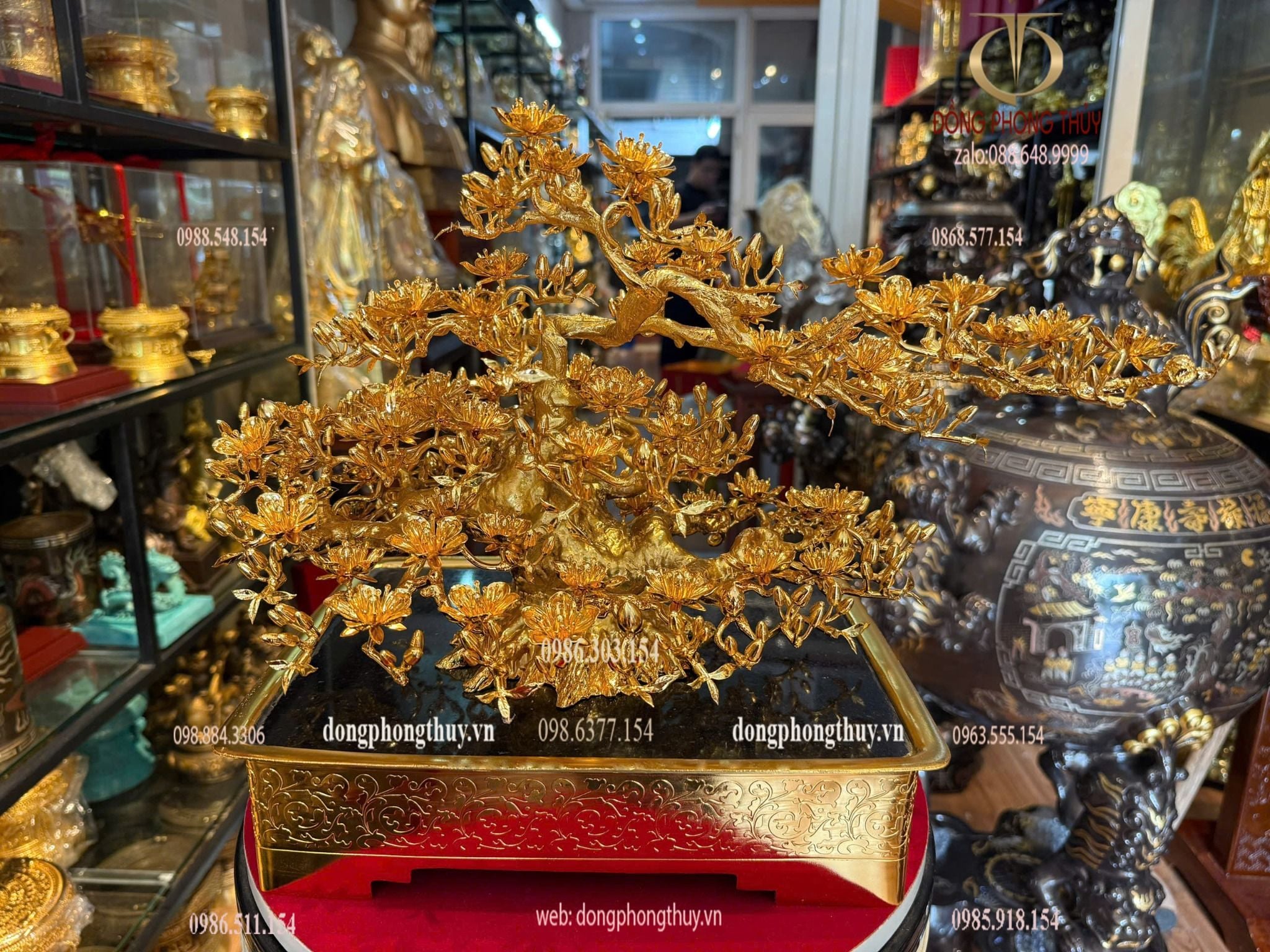 Hình ảnh sản phẩm