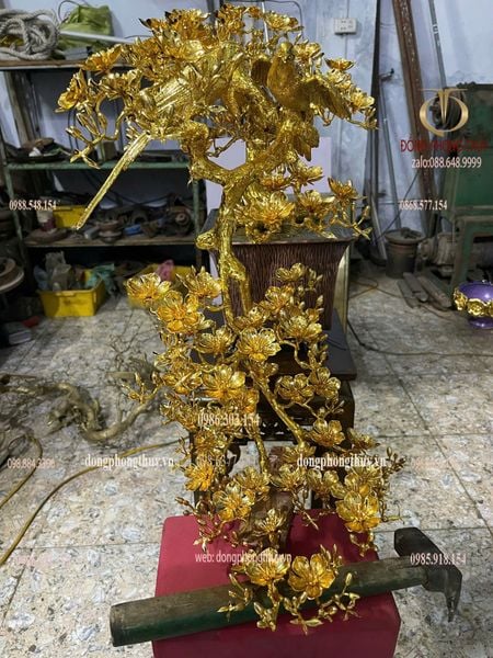 Quà tân gia mạ vàng : cây mai vàng bằng đồng mạ vàng