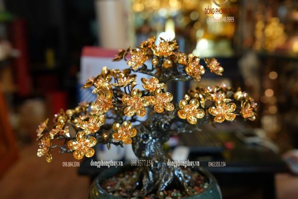 Cây mai vàng 24k bonsai