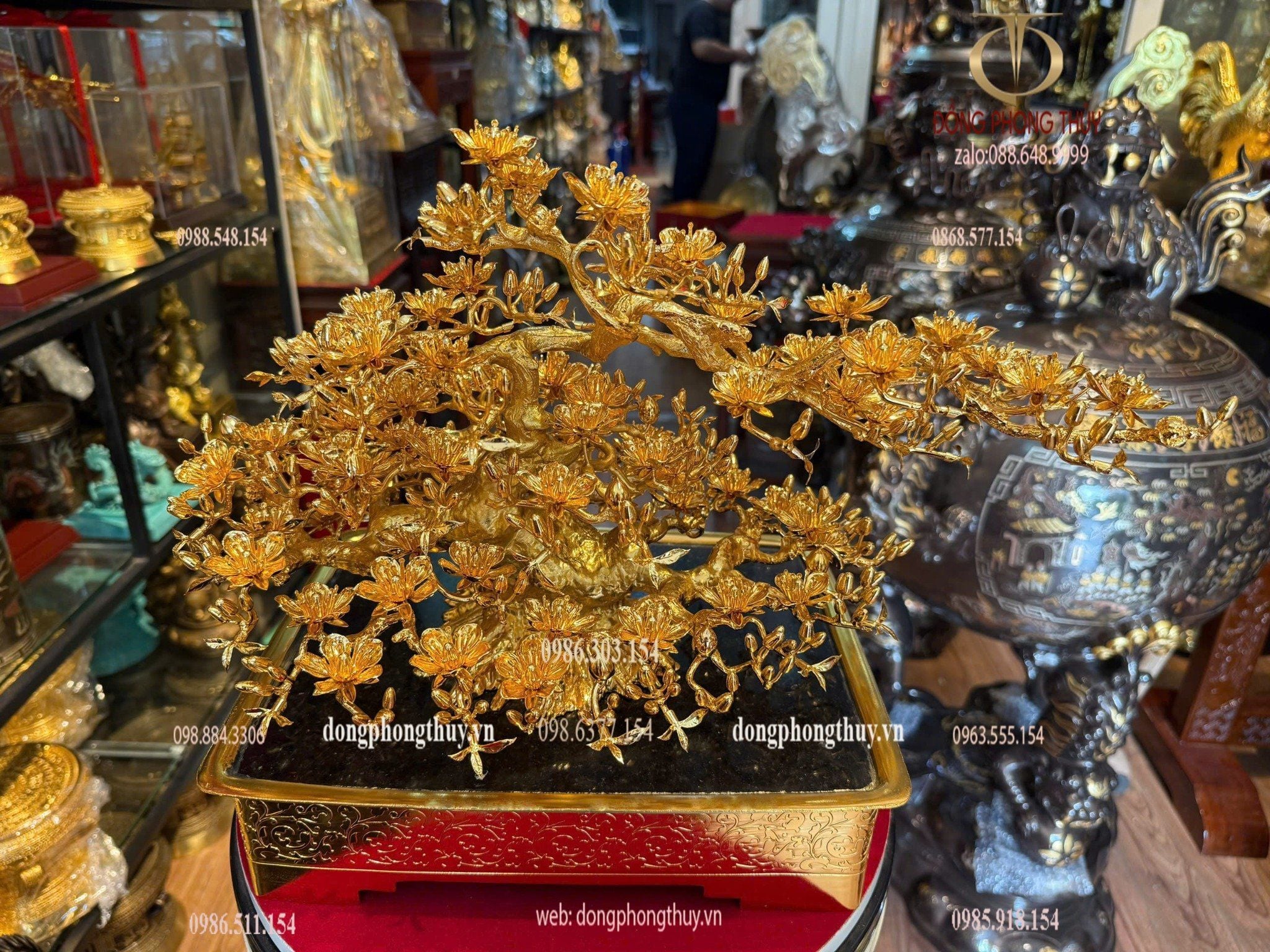 Hình ảnh sản phẩm