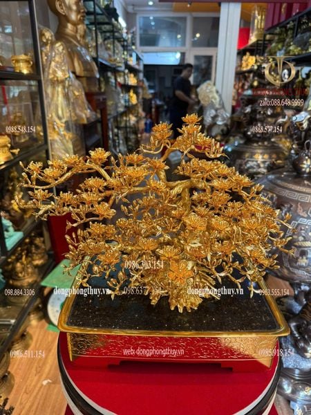Quà tặng mạ vàng: Chậu Mai vàng 24k đế vuông bằng đồng mạ vàng