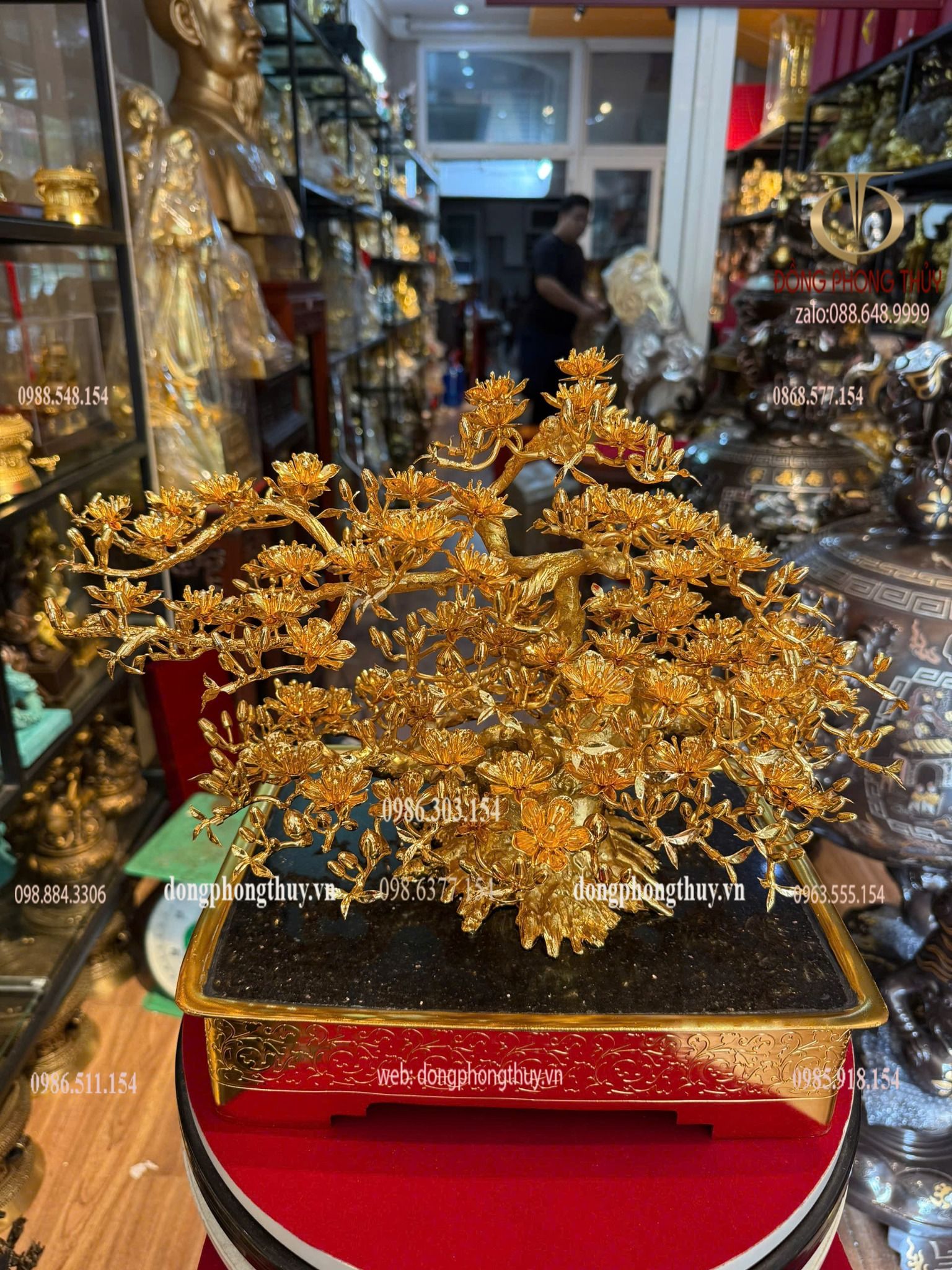 Hình ảnh sản phẩm