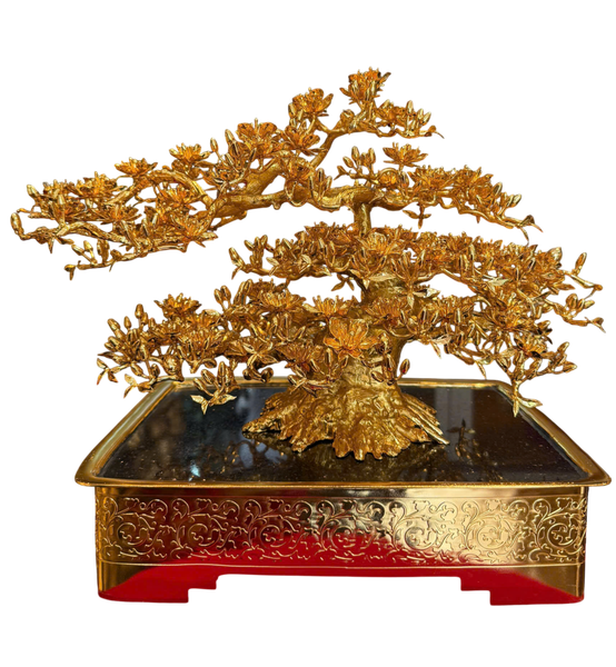 Quà tặng mạ vàng: Chậu Mai vàng 24k đế vuông bằng đồng mạ vàng