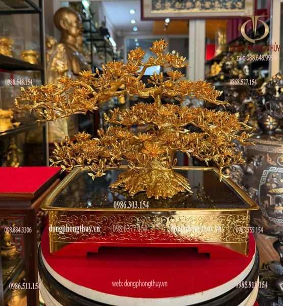 Quà tặng mạ vàng: Chậu Mai vàng 24k đế vuông bằng đồng mạ vàng