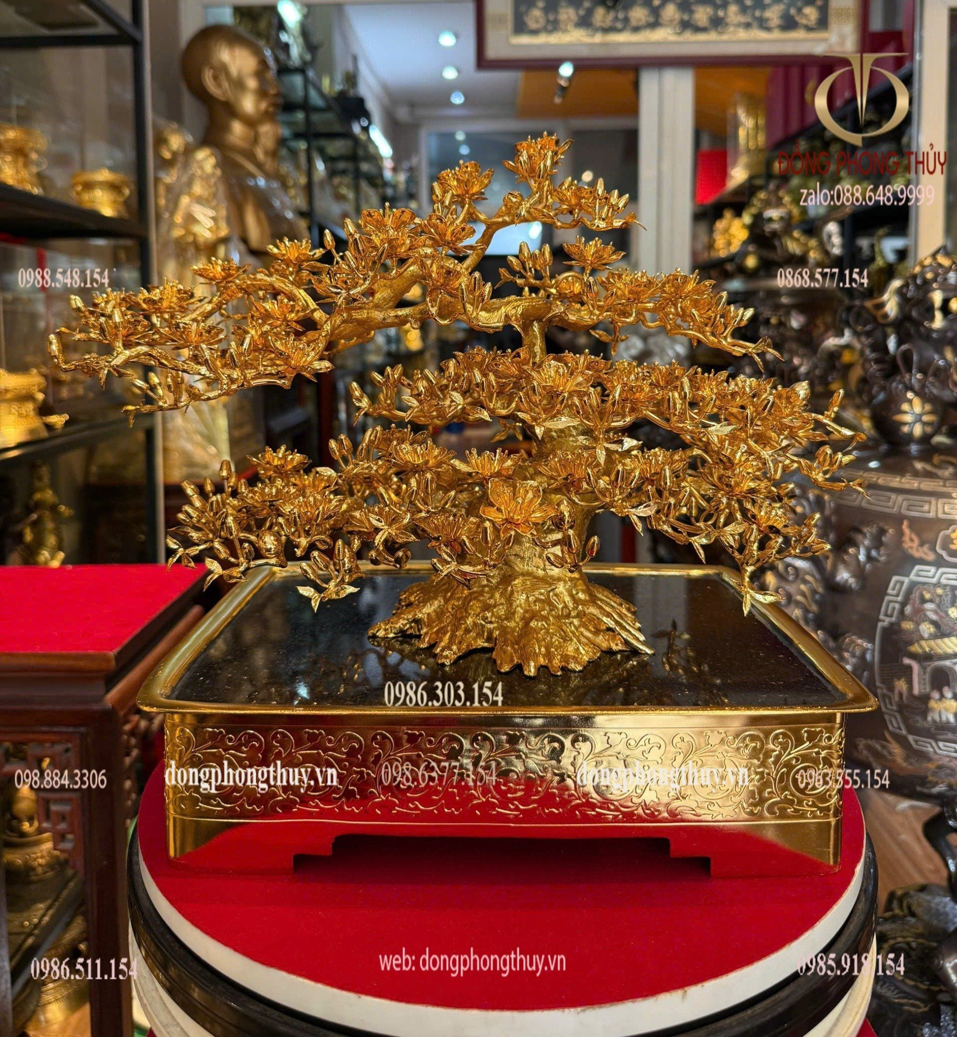 Hình ảnh sản phẩm