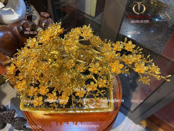 Quà tặng mạ vàng: Chậu Mai vàng 24k đế vuông bằng đồng mạ vàng