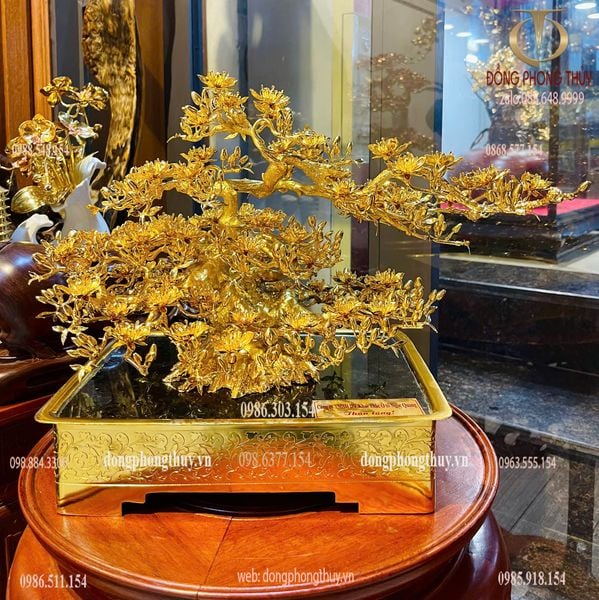 Quà tặng mạ vàng: Chậu Mai vàng 24k đế vuông bằng đồng mạ vàng