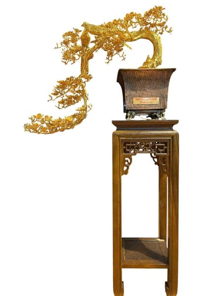 Quà tân gia mạ vàng : cây mai vàng bằng đồng mạ vàng