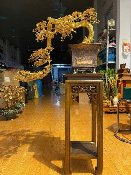 Quà tân gia mạ vàng : cây mai vàng bằng đồng mạ vàng