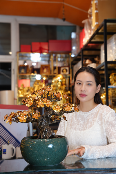Cây mai vàng 24k bonsai