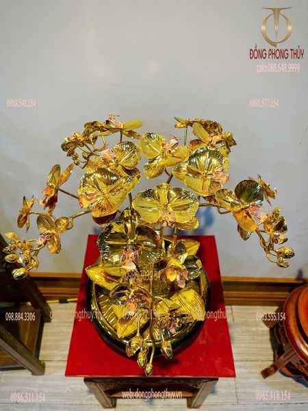 Chậu hoa lan bằng đồng mạ vàng 24k 5 cành