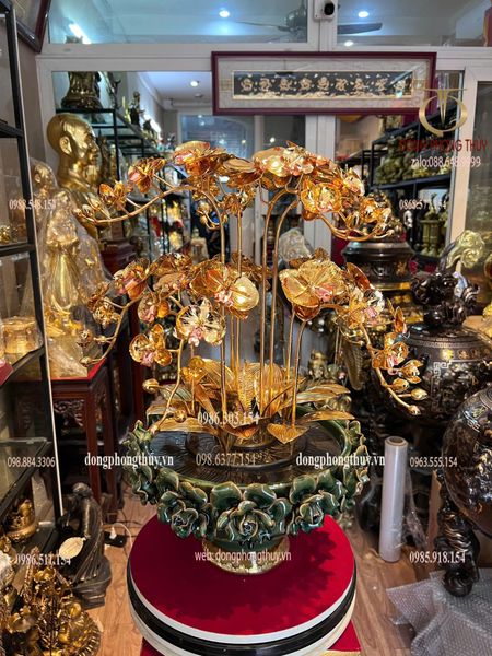 Chậu hoa lan mạ vàng 24k