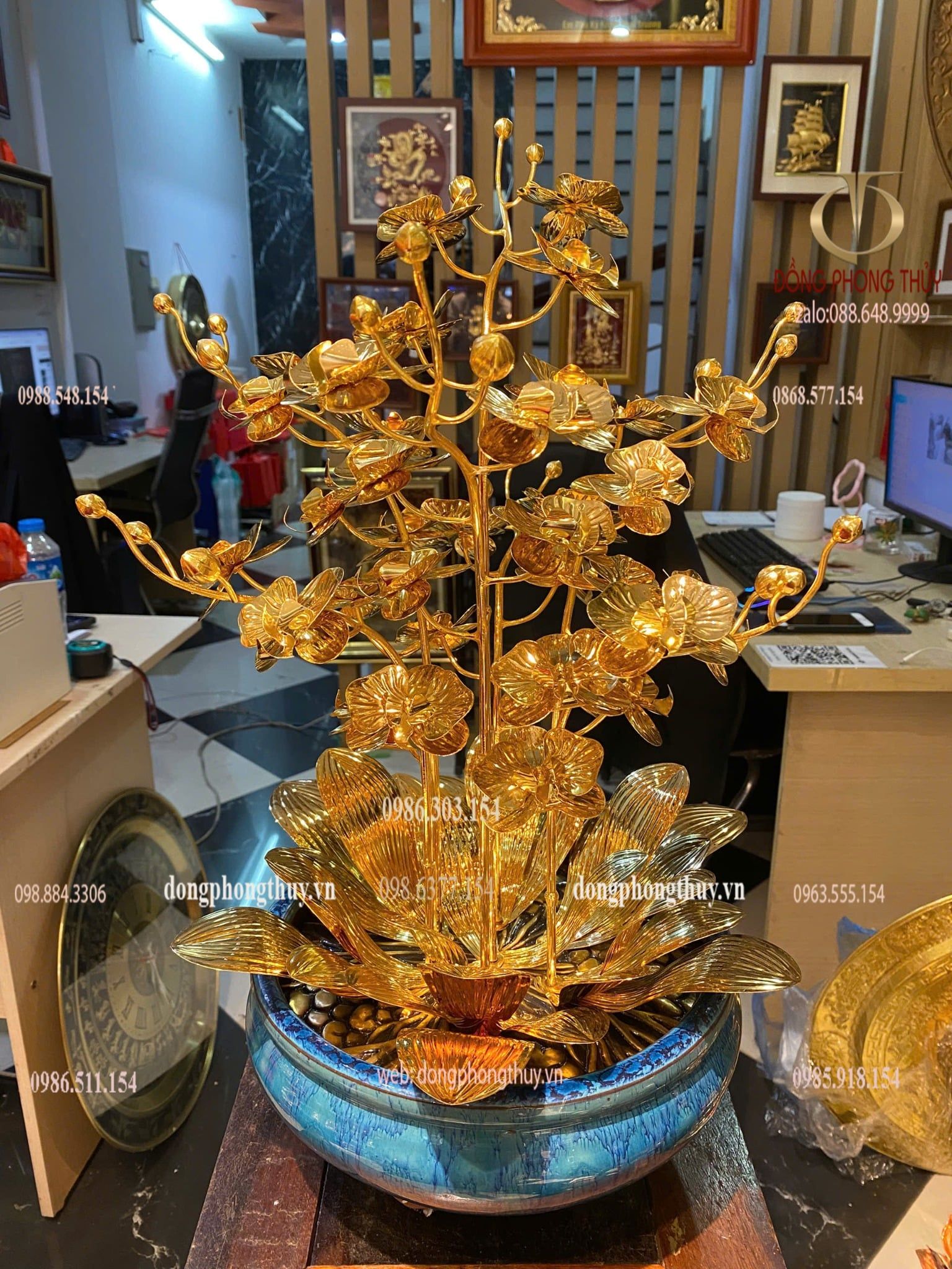 Cây hoa lan mạ vàng 24k