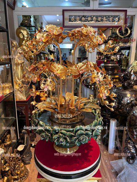 Chậu hoa lan mạ vàng 24k