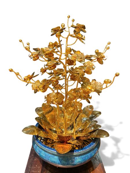 Cây hoa lan mạ vàng 24k