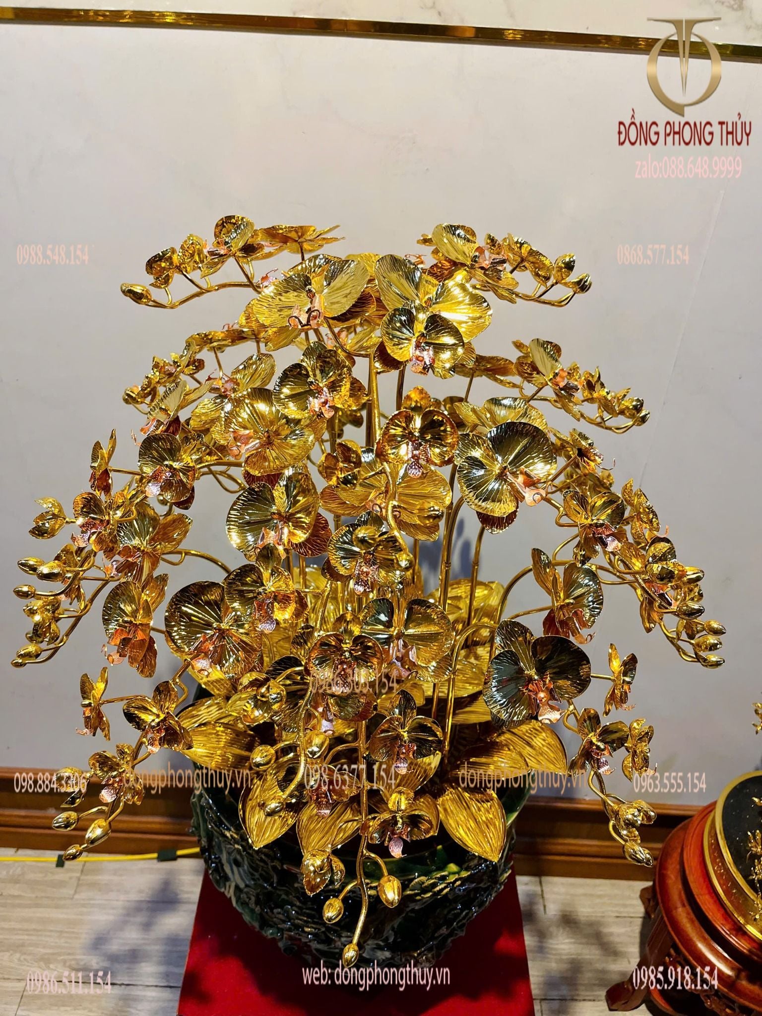 hoa lan mạ vàng 24k