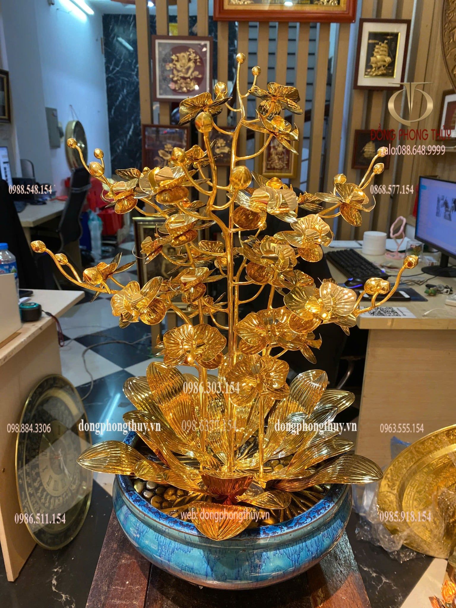 Cây hoa lan mạ vàng 24k