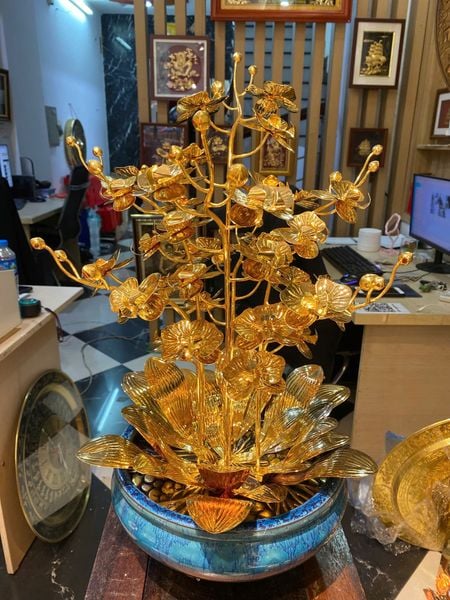 Cây hoa lan mạ vàng 24k