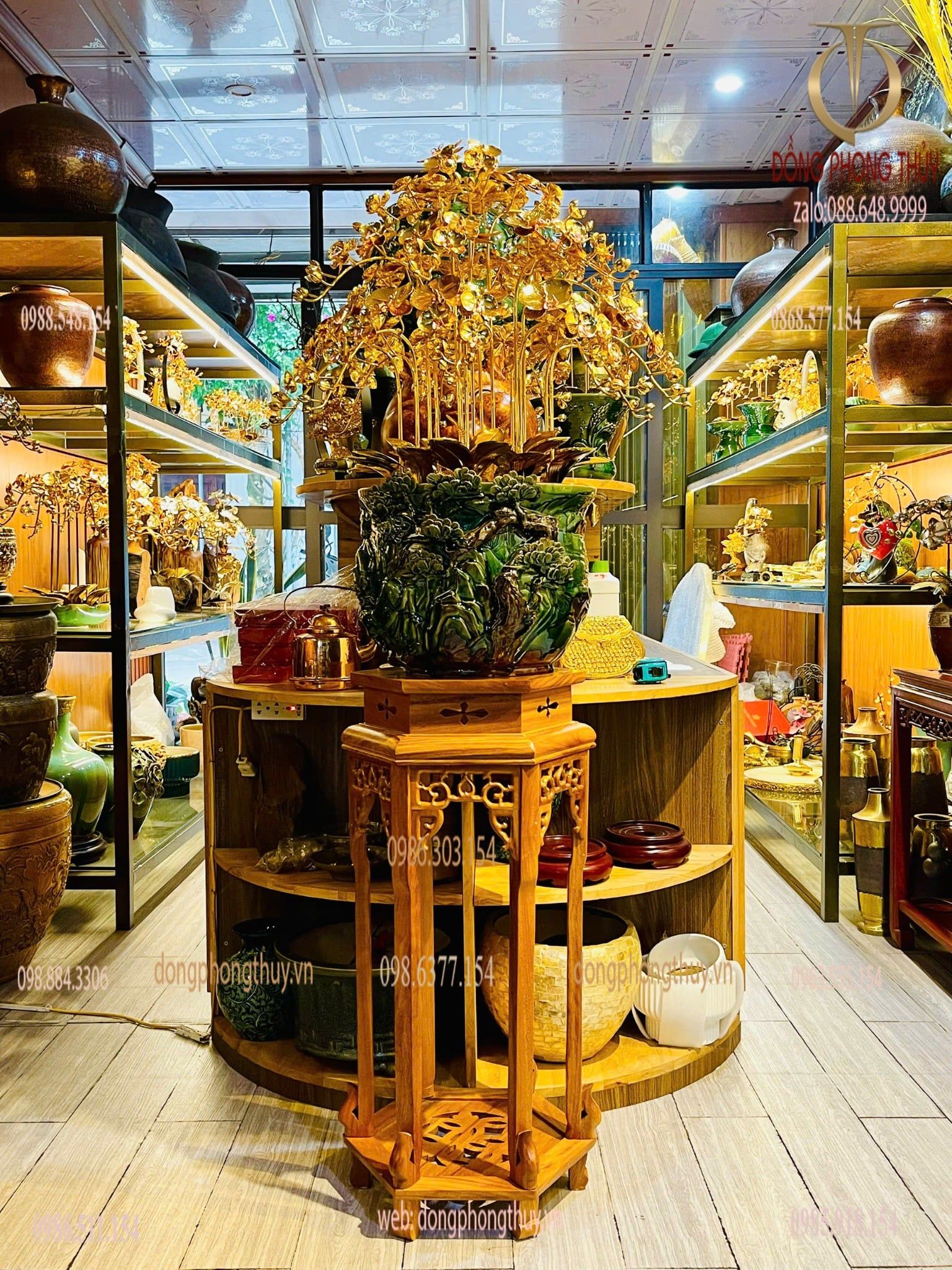 hoa lan mạ vàng 24k