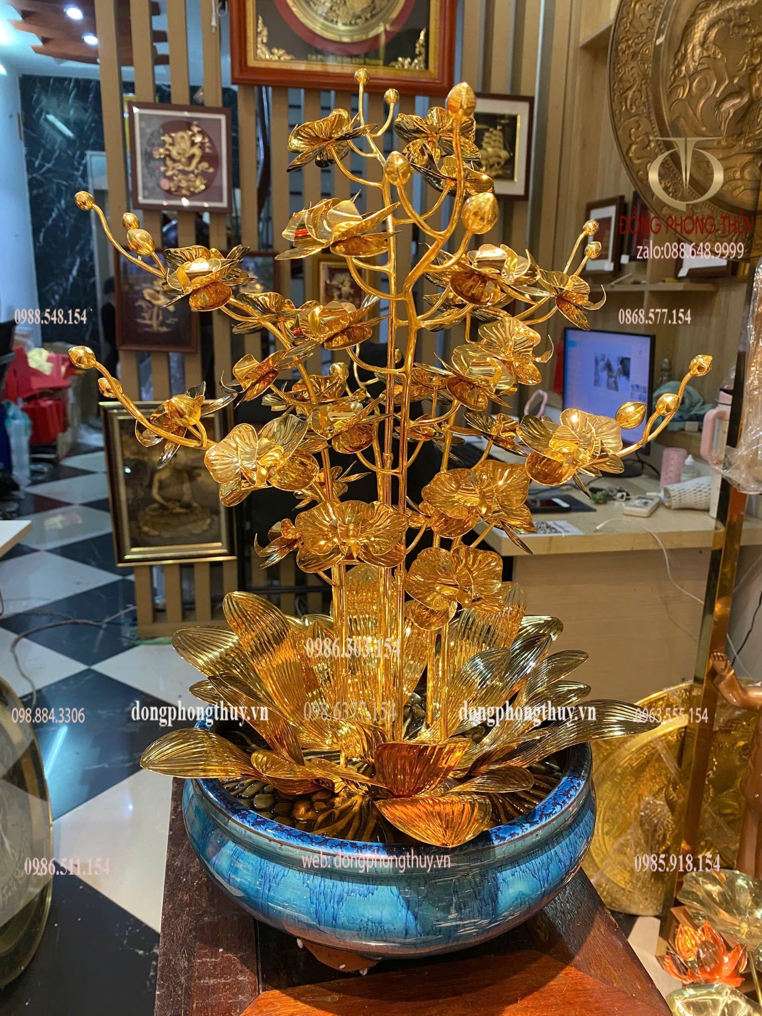 Cây hoa lan mạ vàng 24k