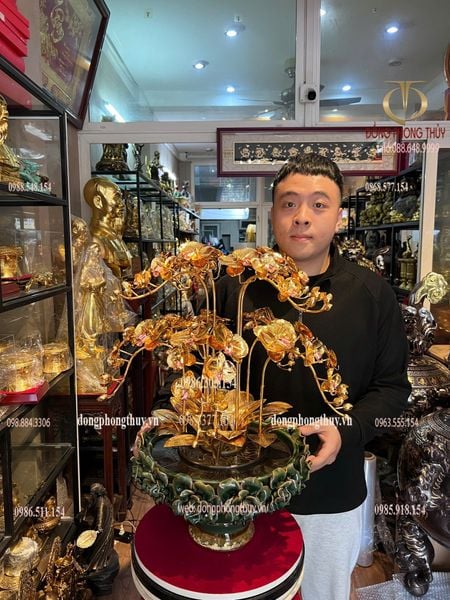 Chậu hoa lan mạ vàng 24k