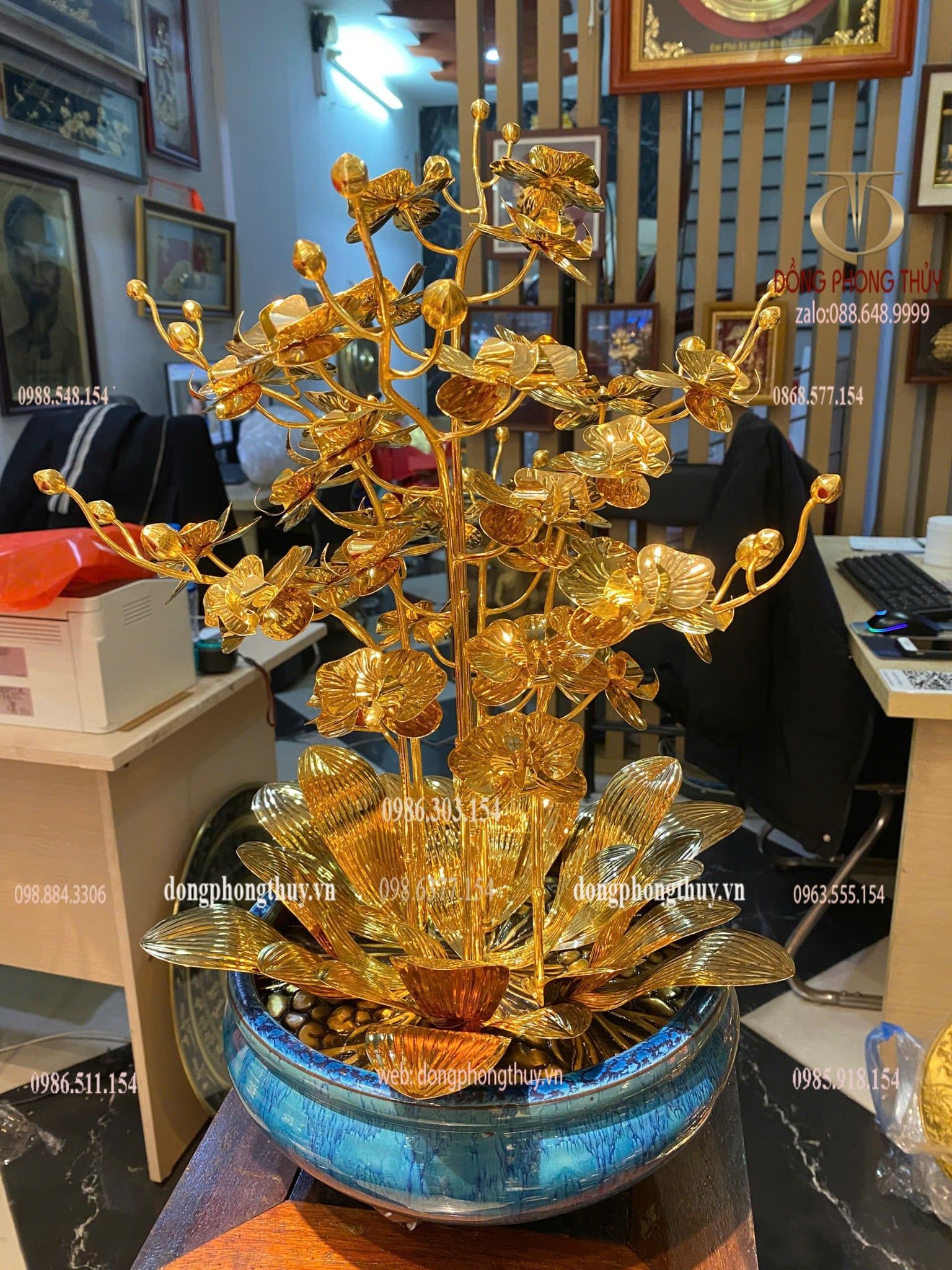 Cây hoa lan mạ vàng 24k