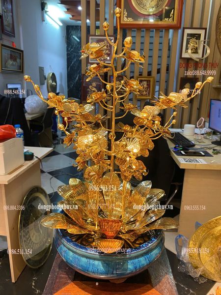 Cây hoa lan mạ vàng 24k