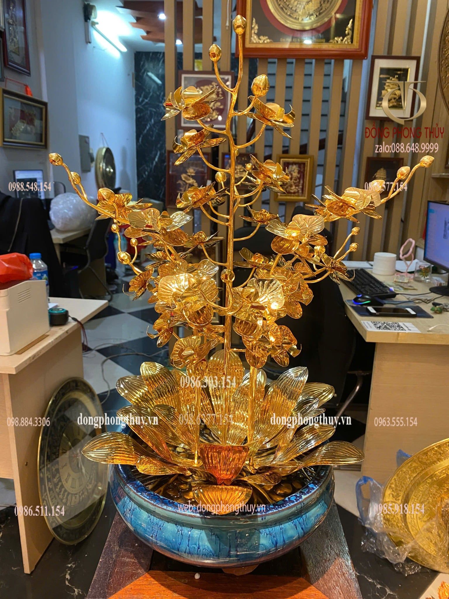 Cây hoa lan mạ vàng 24k