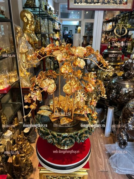 Chậu hoa lan mạ vàng 24k
