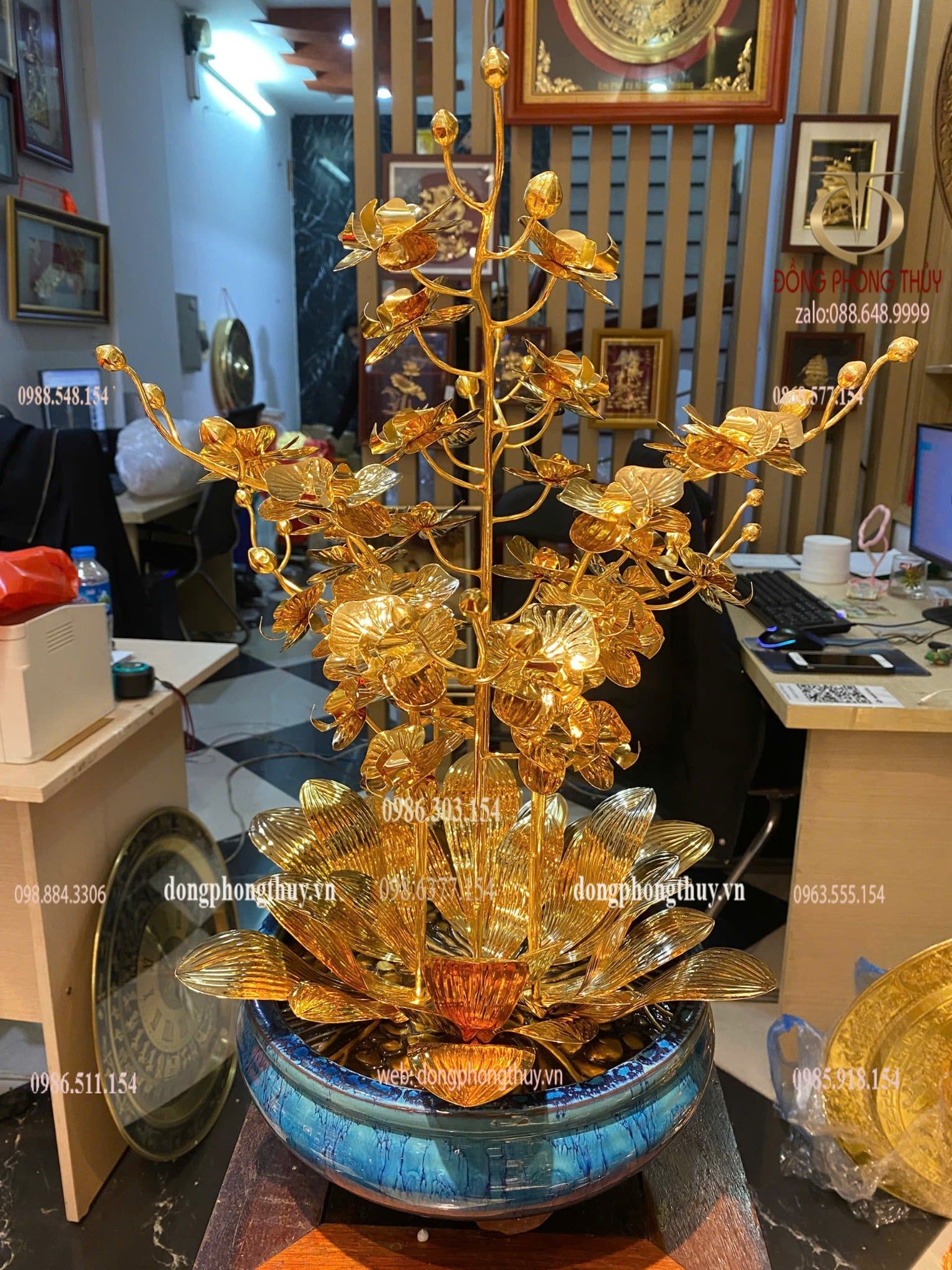 Cây hoa lan mạ vàng 24k