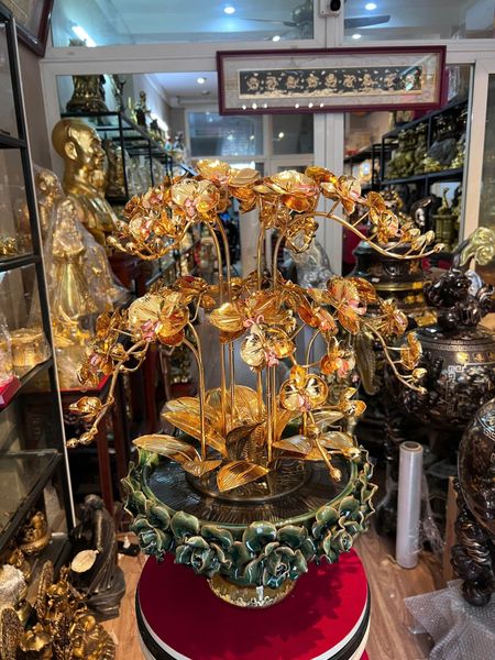 Chậu hoa lan mạ vàng 24k