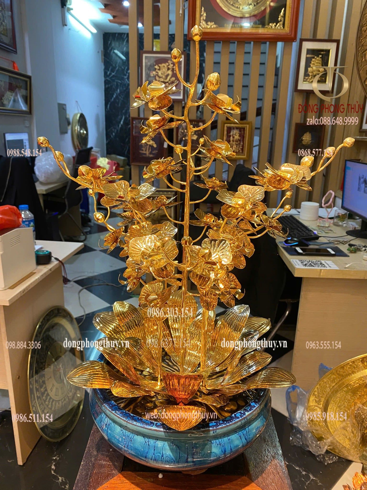 Cây hoa lan mạ vàng 24k