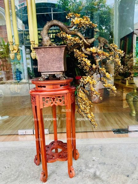 Quà tặng mạ vàng: Cây mai vàng dáng đổ bằng đồng mạ vàng 24k