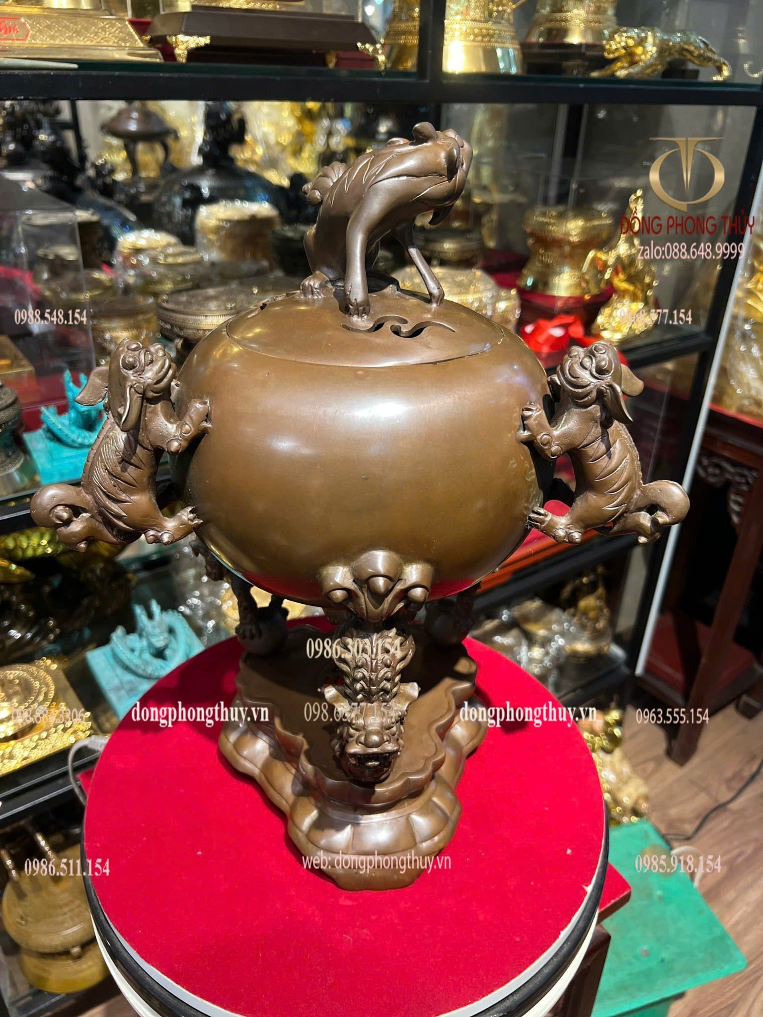 Thất lân 40cm nặng 8kg màu da lươn