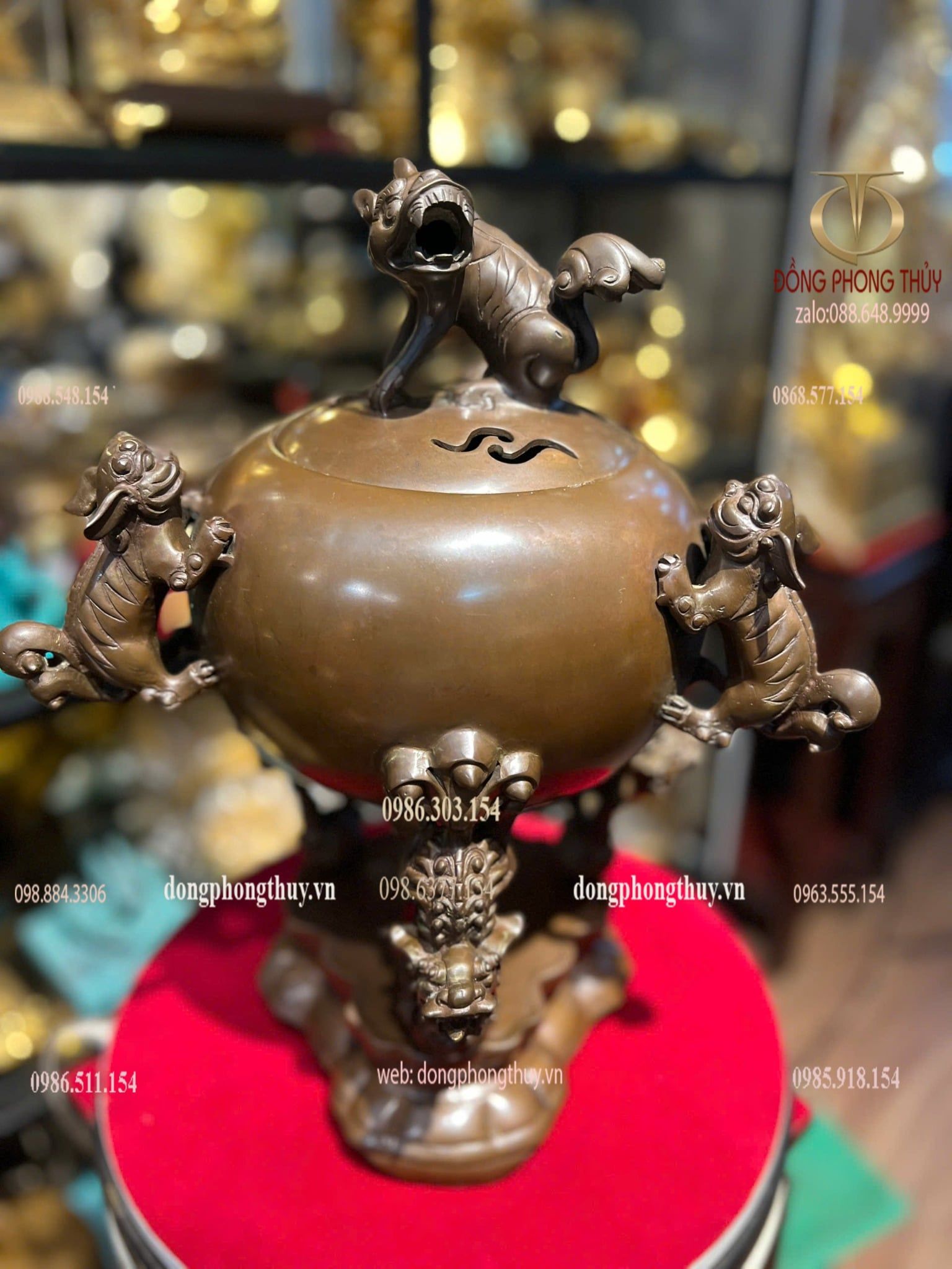 Thất lân 40cm nặng 8kg màu da lươn