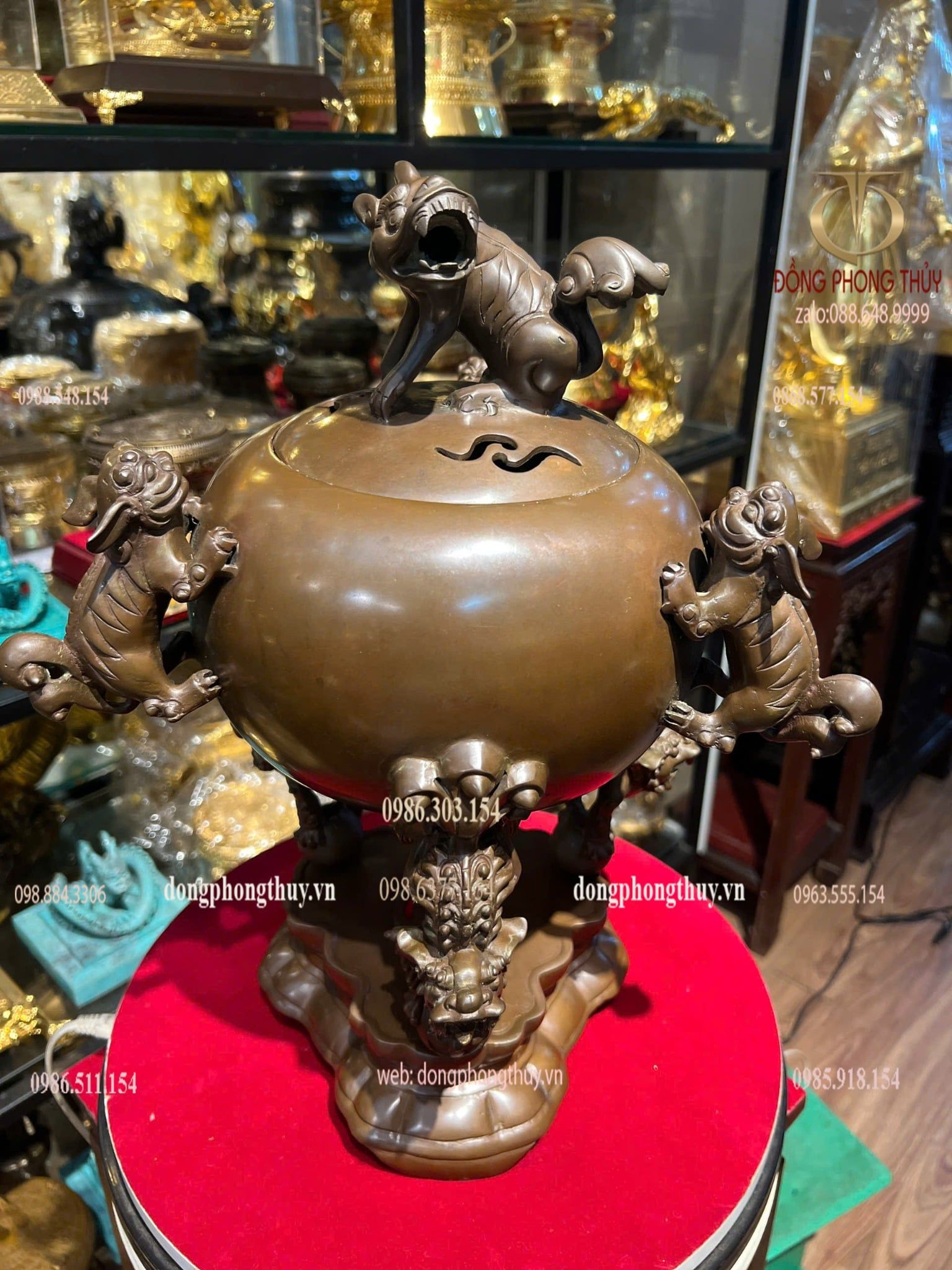 Thất lân 40cm nặng 8kg màu da lươn