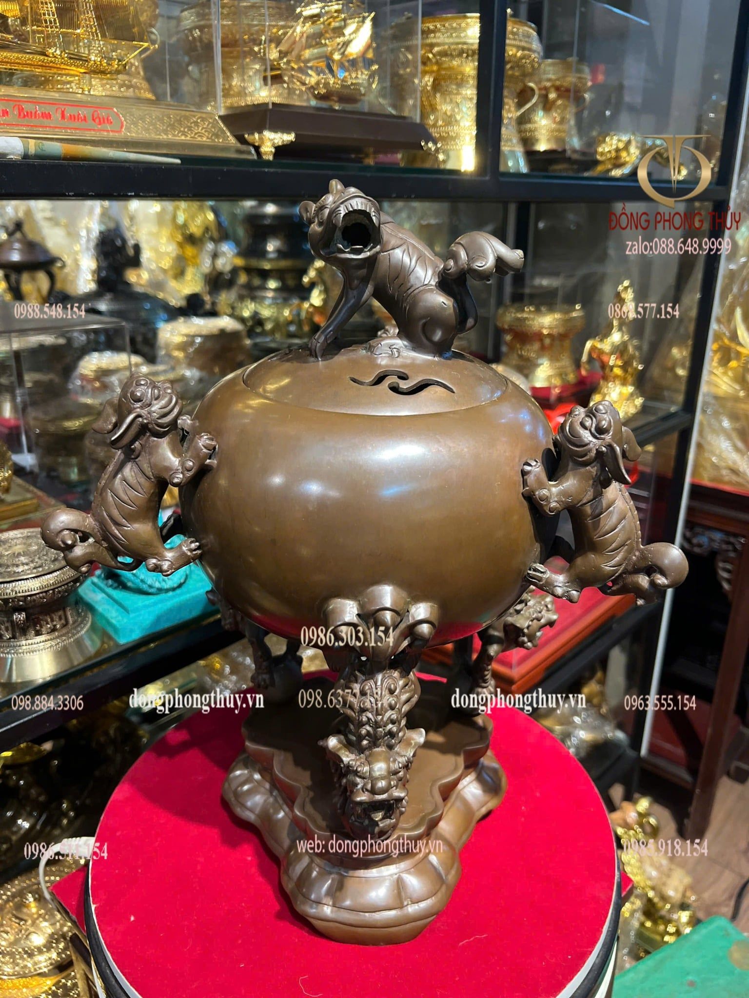 Thất lân 40cm nặng 8kg màu da lươn