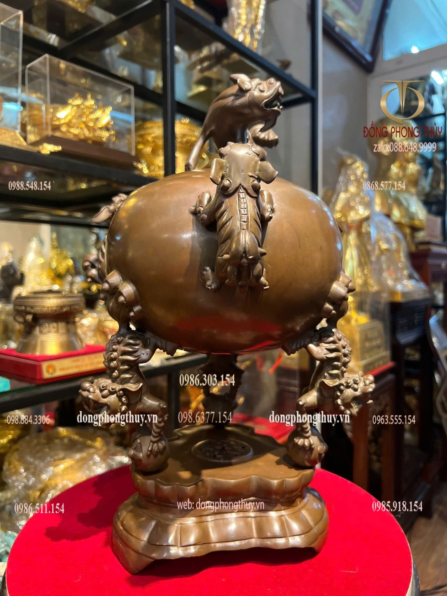 Thất lân 40cm nặng 8kg màu da lươn