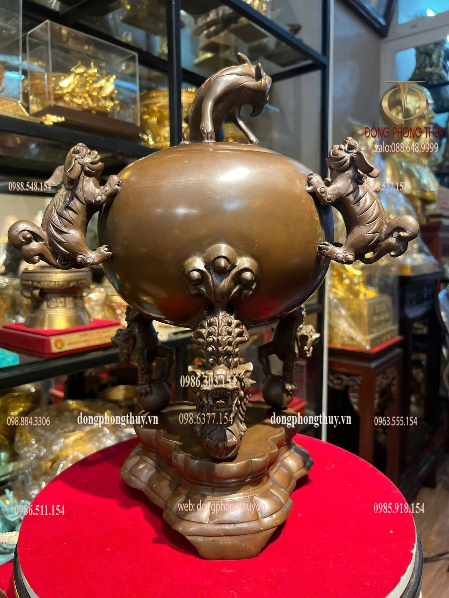 Thất lân 40cm nặng 8kg màu da lươn