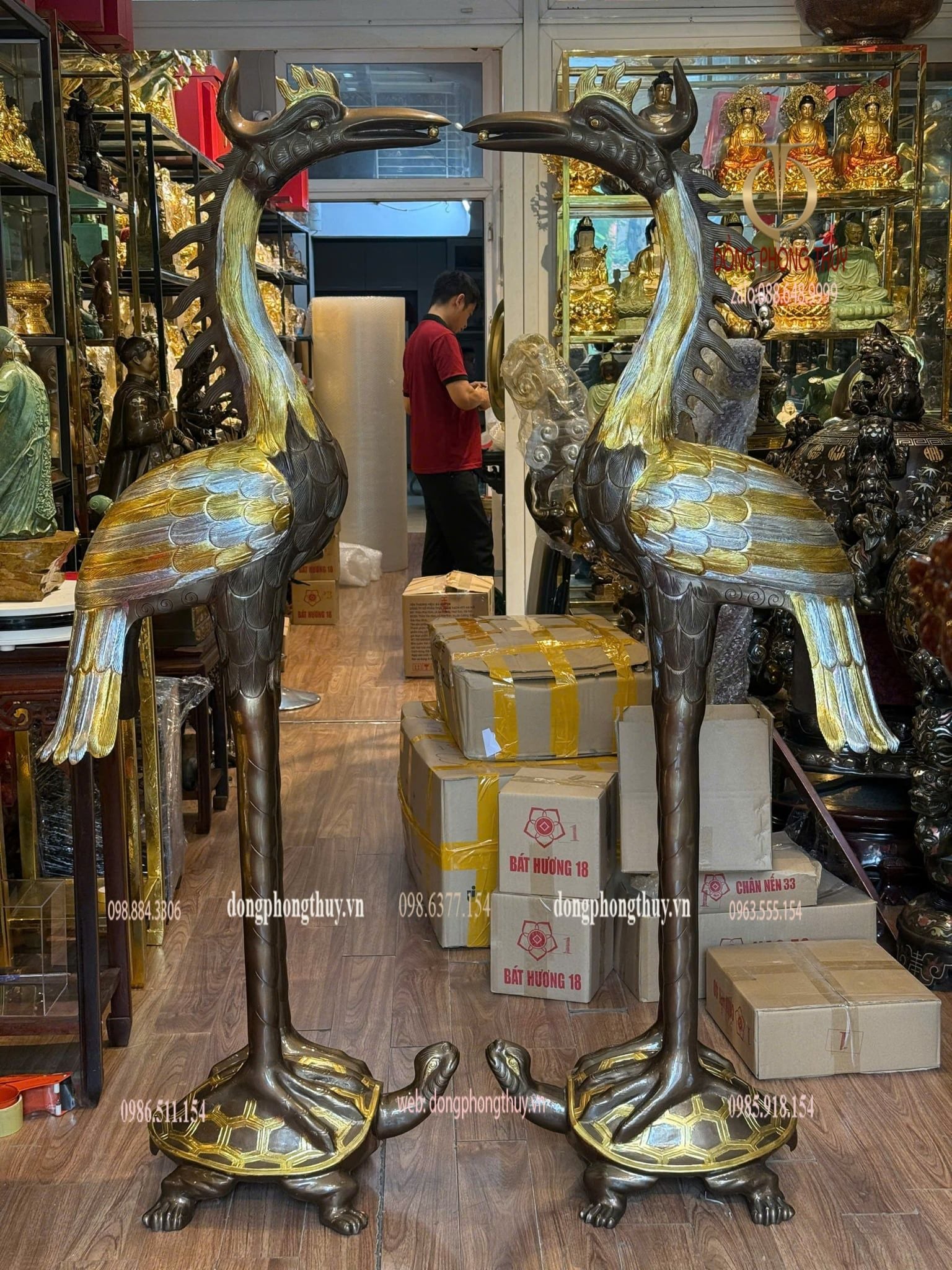 Hình ảnh sản phẩm