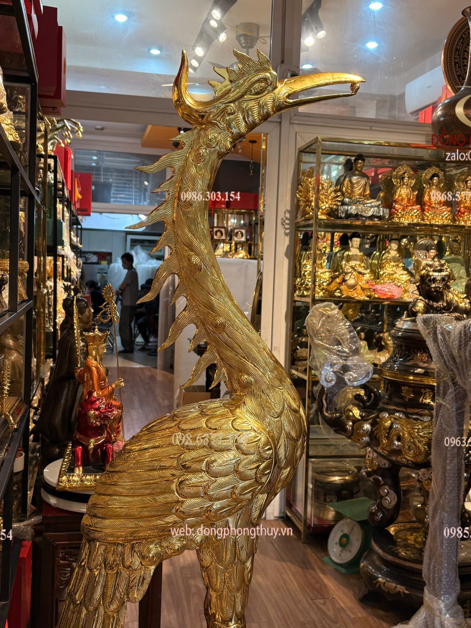 Hình ảnh sản phẩm