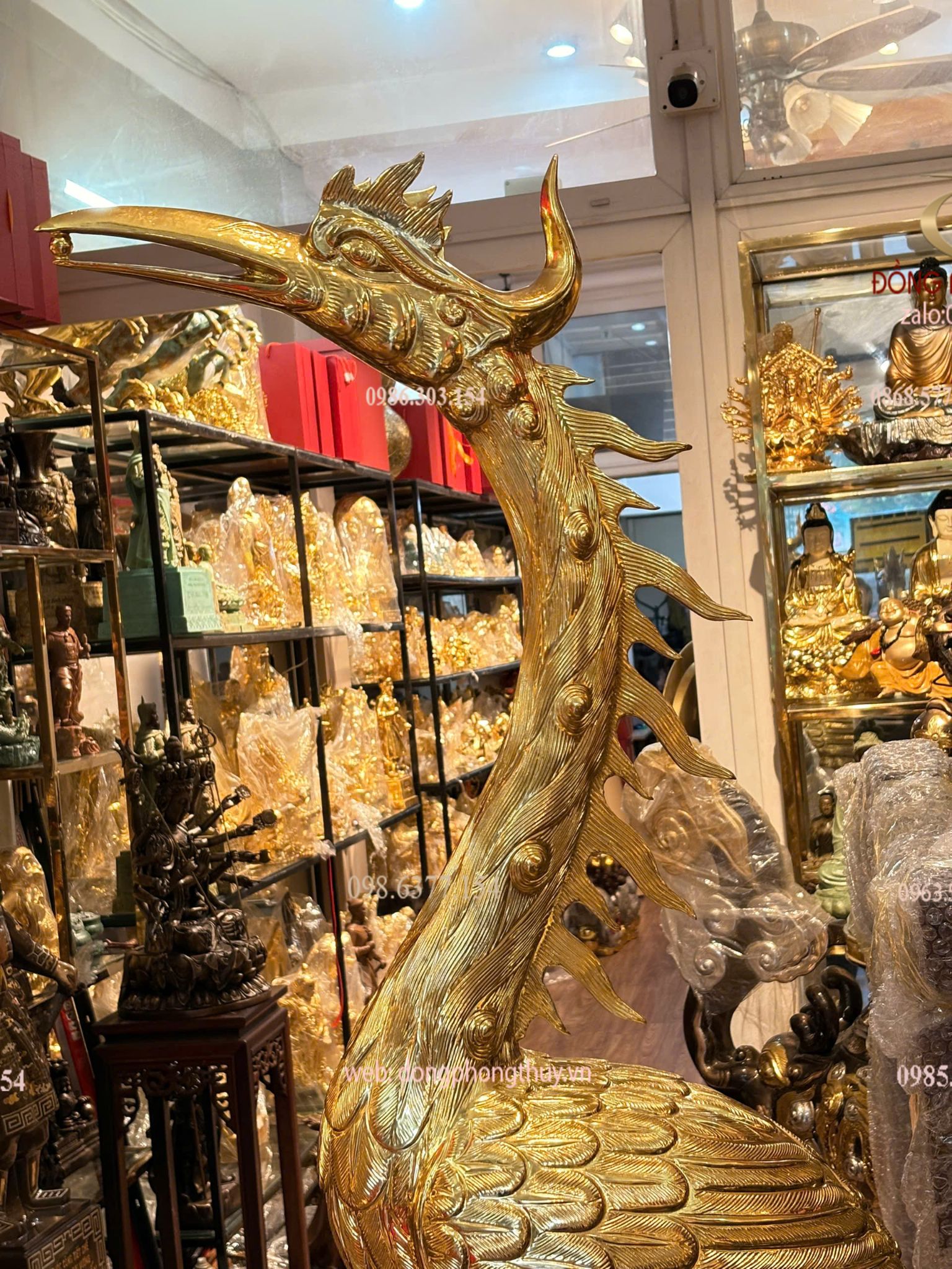 Hình ảnh sản phẩm