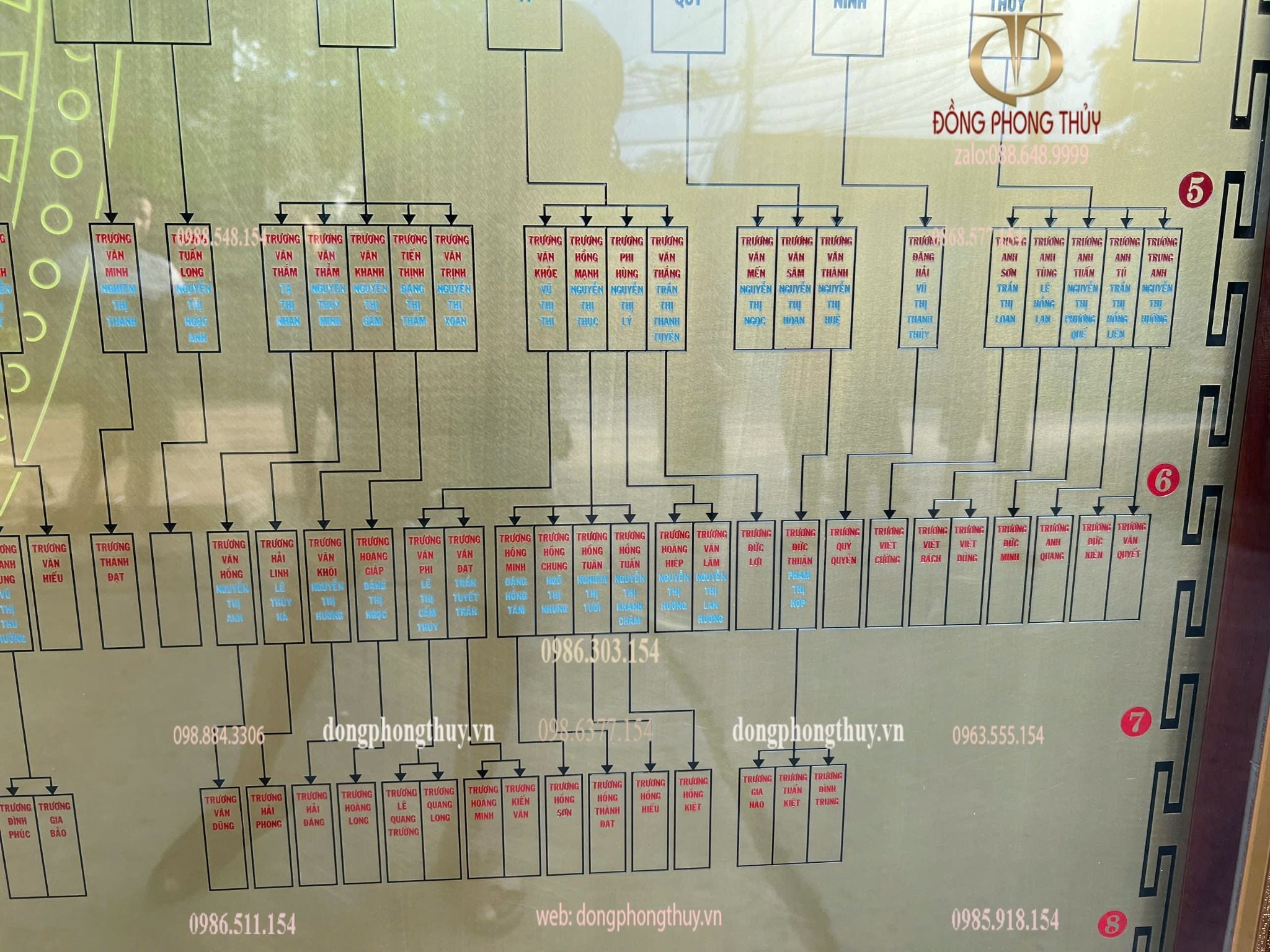 Gia phả dòng họ