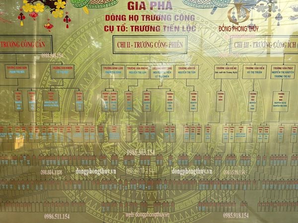 Gia phả dòng họ 2m2*2m7
