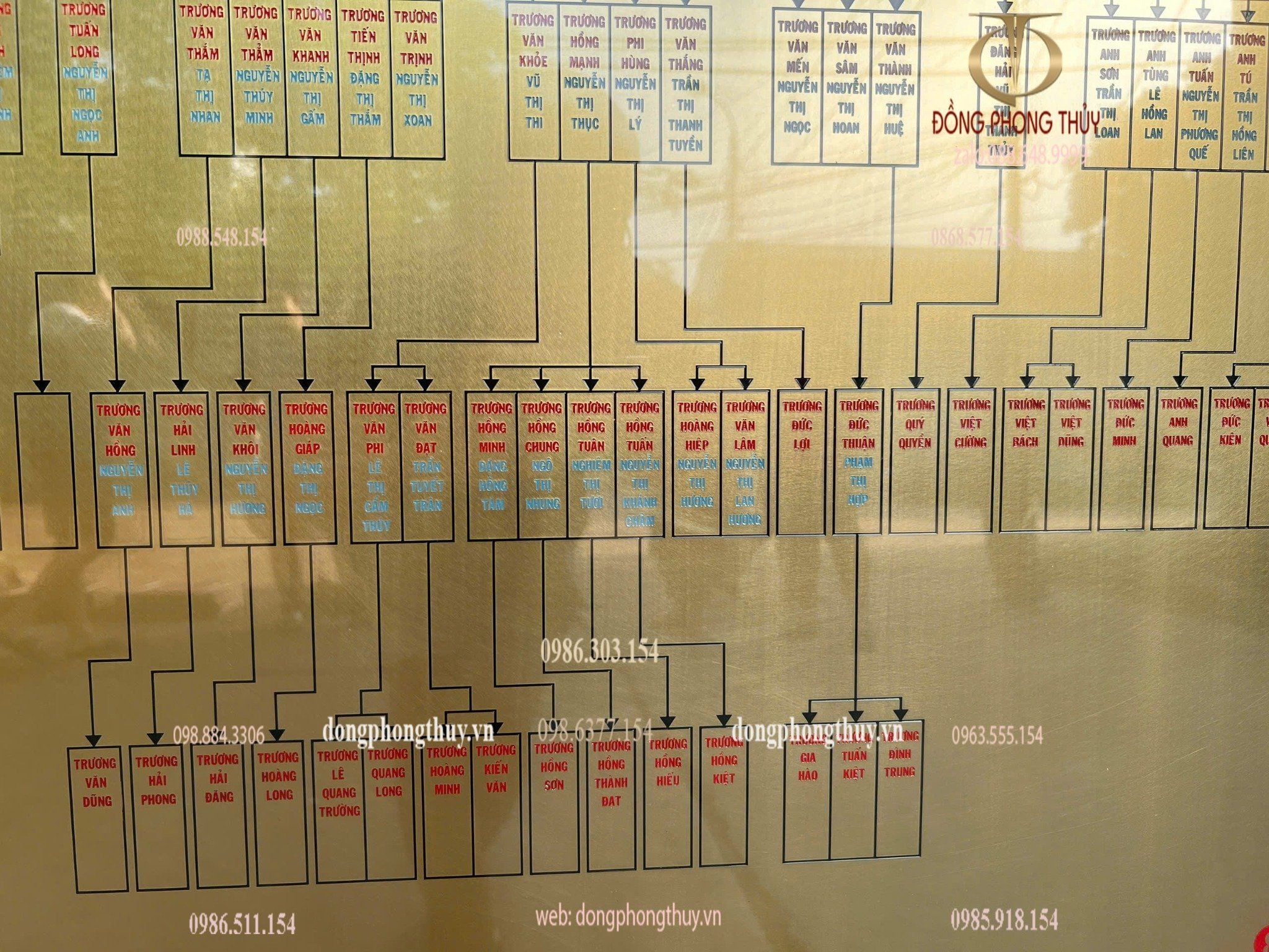 Gia phả dòng họ