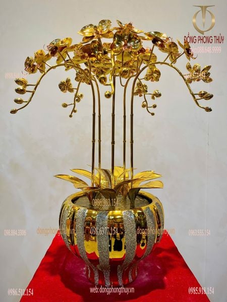 Chậu hoa lan mạ vàng 24k 5 cành cao 55cm