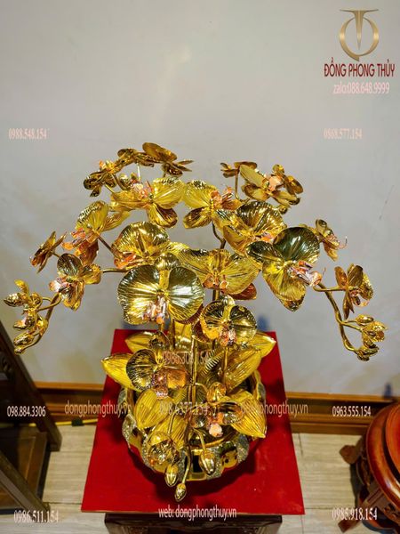 Chậu hoa lan mạ vàng 24k 5 cành cao 55cm