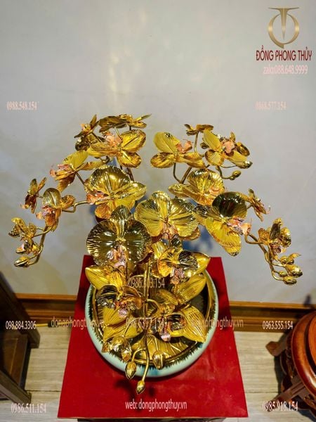 Chậu lan mạ vàng 24k trơn 5 cành Cao 50cm