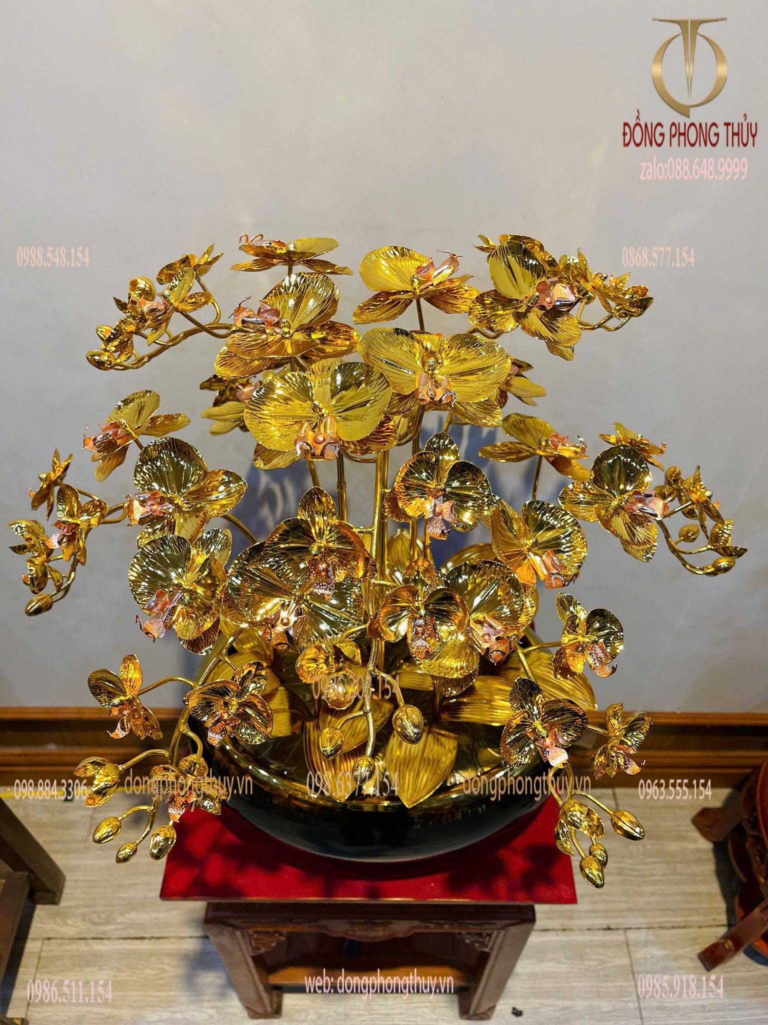 hoa lan mạ vàng 24k